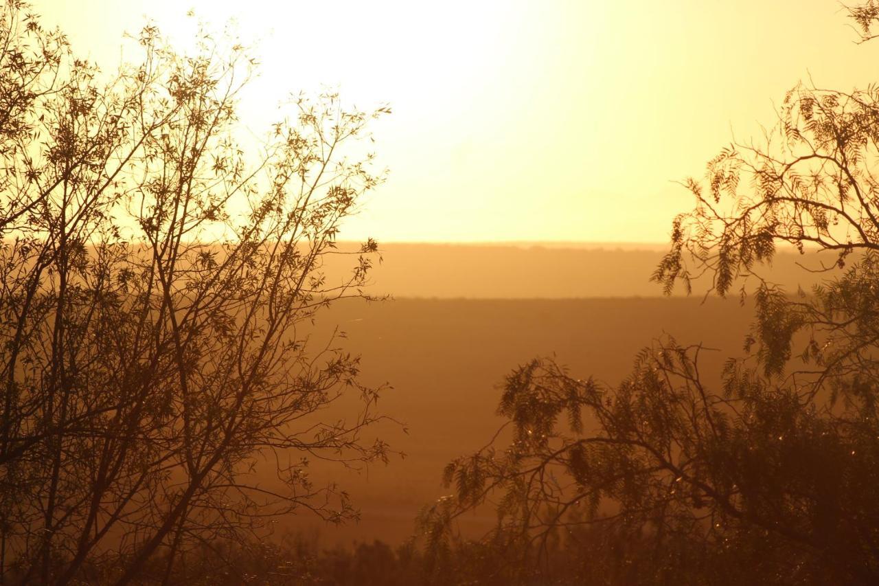 Natures Rest Lapa Oudtshoorn Exterior foto